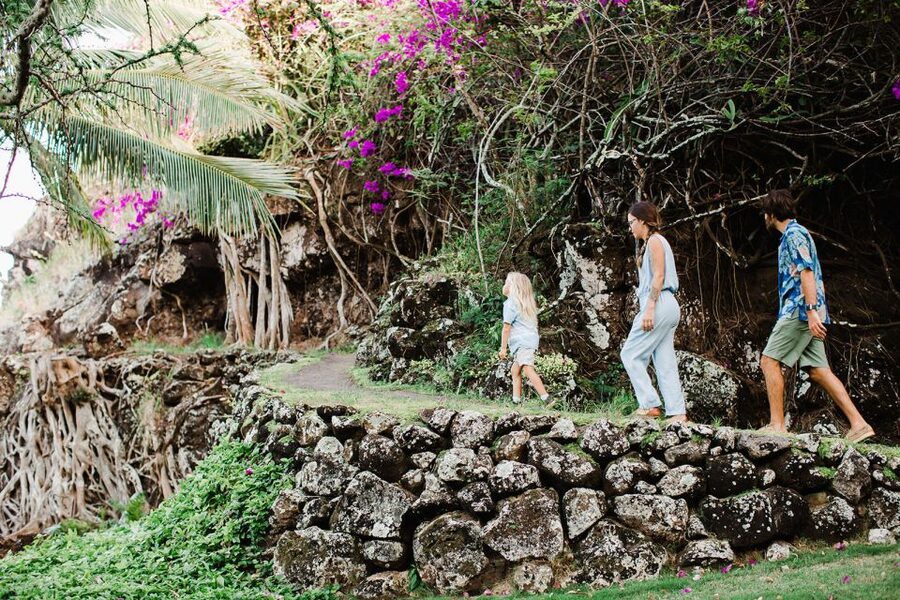 Kauai: Allerton Garden and Estate Tour with Sunset Dinner - Who will enjoy this evening most