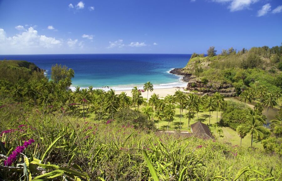 Kauai: Allerton Garden Guided Group Walking Tour - Why Allerton Garden feels different from a standard botanical garden