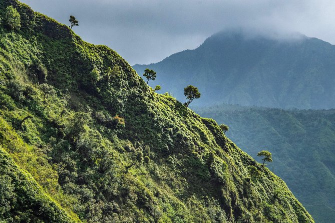 Kauai Eco Adventure Helicopter Tour - The Na Pali Coast, Hanalei Bay, and Princeville