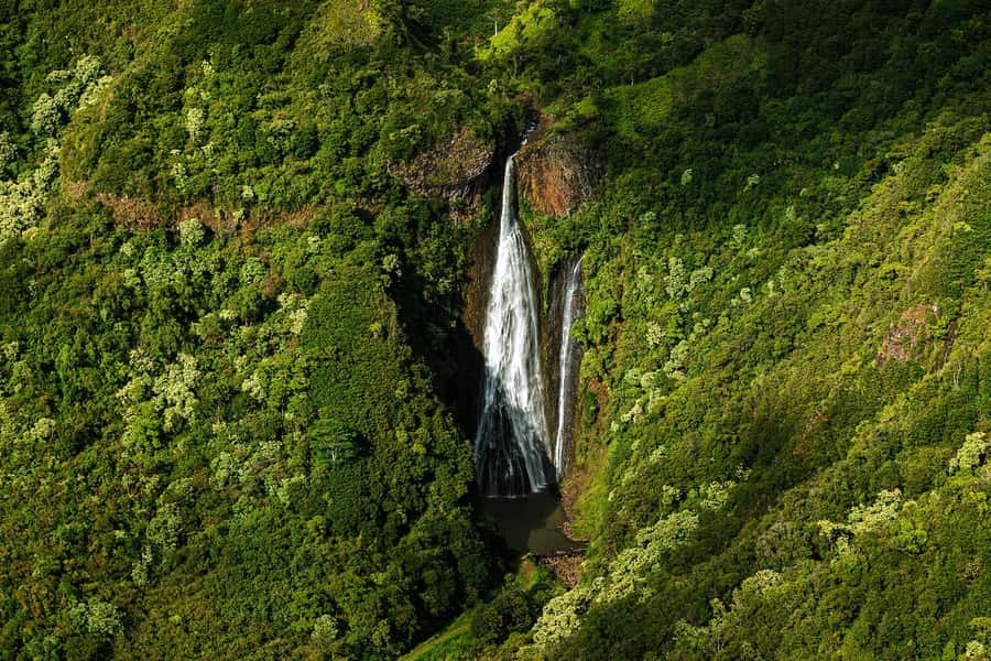 Kauai: Entire Kauai Air Tour with Window Seats - Key points at a glance