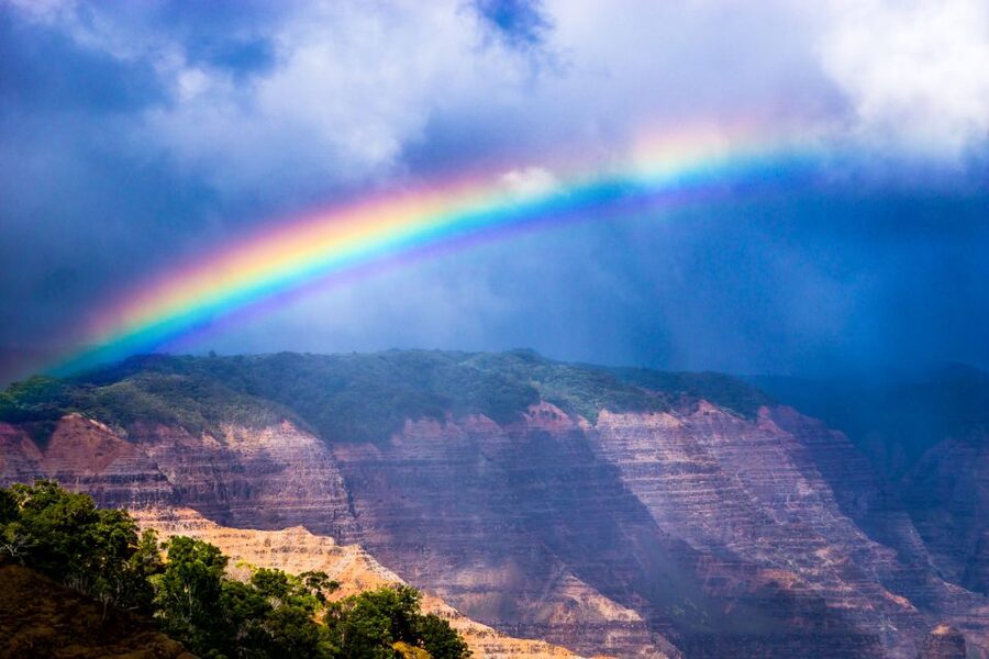 Kauai: Full-Day Waimea Canyon & Wailua River Tour - Kauai Coffee and Spouting Horn add local flavor