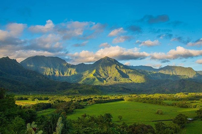Kauai: Highlights & Movie Sites - A comfortable start with a guide-led day
