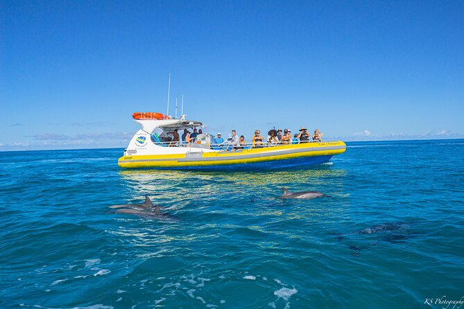 Kauai: Na Pali Coast Super Raft Snorkel Adventure - What the $235 price buys you