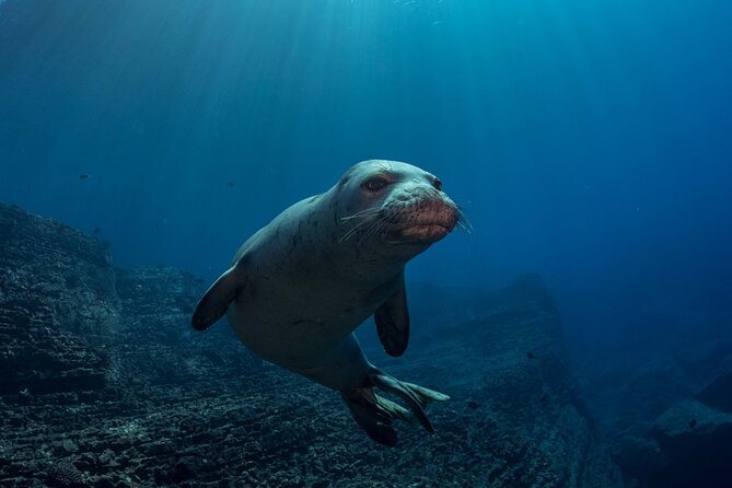 Kauai's Exclusive Morning Scuba Charter for Experienced Divers - What your morning looks like from Poipu