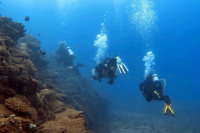 Kauai's Exclusive Morning Scuba Charter for Experienced Divers - Fitness, experience, and who should skip it