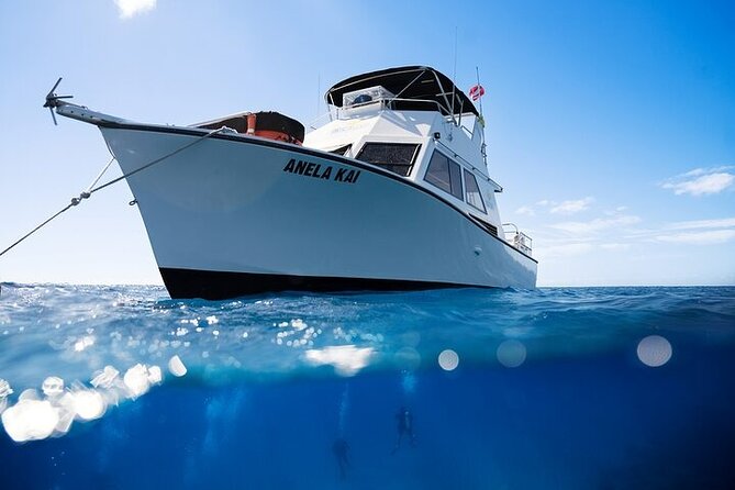 Kauai's Exclusive Morning Scuba Charter for Experienced Divers - Choosing the south shore site on the day