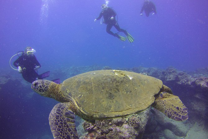 Kauai's Ultimate Discover Scuba Dive - OCEAN EXPERIENCE (1 Tank Dive) - The instructors make a real difference