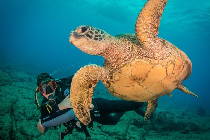 Kauai's Ultimate Discover Scuba Dive - OCEAN EXPERIENCE (1 Tank Dive) - The medical form is not a last-minute detail