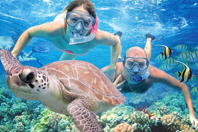 Kauai’s Ultimate Guided Shore Snorkel in South Poipu - Why This Poipu Shore Snorkel Works So Well