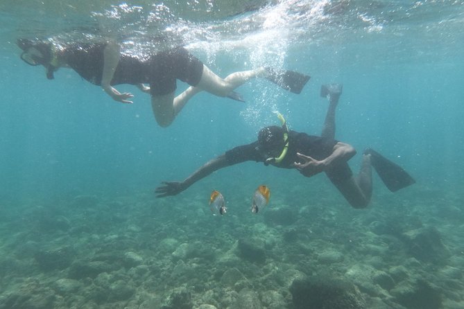 Kauai’s Ultimate Guided Shore Snorkel in South Poipu - How Much Value Do You Get for $119.80?