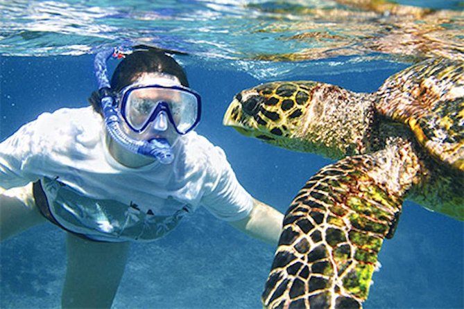 Kauai's Ultimate South Island Zodiac Boat Snorkel Adventure - Cruising past Spouting Horn