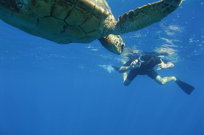 Kauai's Ultimate South Island Zodiac Boat Snorkel Adventure - Who should choose this outing?