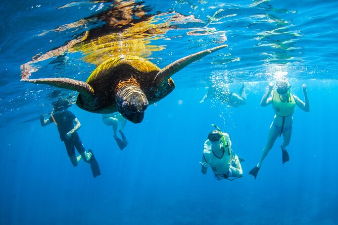 Kauai's Ultimate South Island Zodiac Boat Snorkel Adventure - The first reef, turtles and calm water