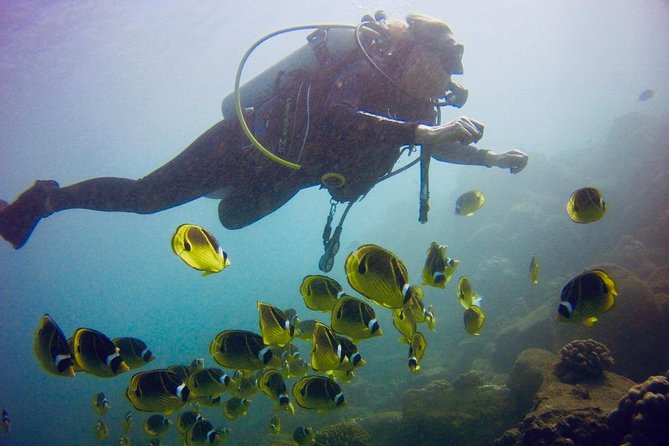 Kauai's Ultimate South Shore 2 Tank Dive (Certified Divers Only) - The surface interval and second tank
