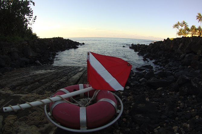 Kauai's Ultimate South Shore 2 Tank Dive (Certified Divers Only) - Marine life, coral, and visibility