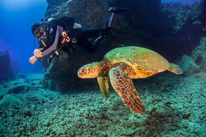 Kauai's Ultimate South Shore 2 Tank Dive (Certified Divers Only) - Equipment, guidance, and group size