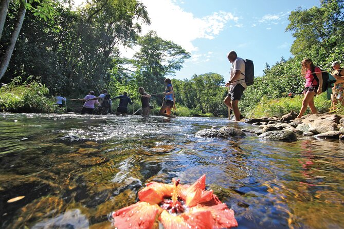 Kauai: Secret Falls Kayak and Hike - Starting at 180 Wailua Road in Kapaʻa
