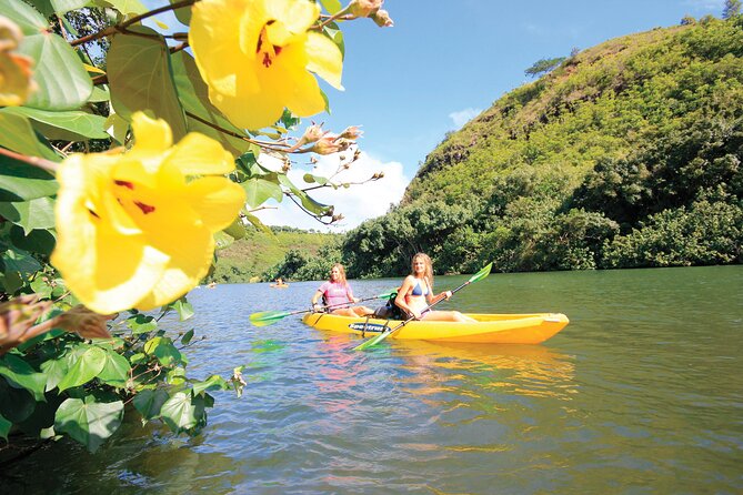 Kauai: Secret Falls Kayak and Hike - Who should book this Kauai adventure