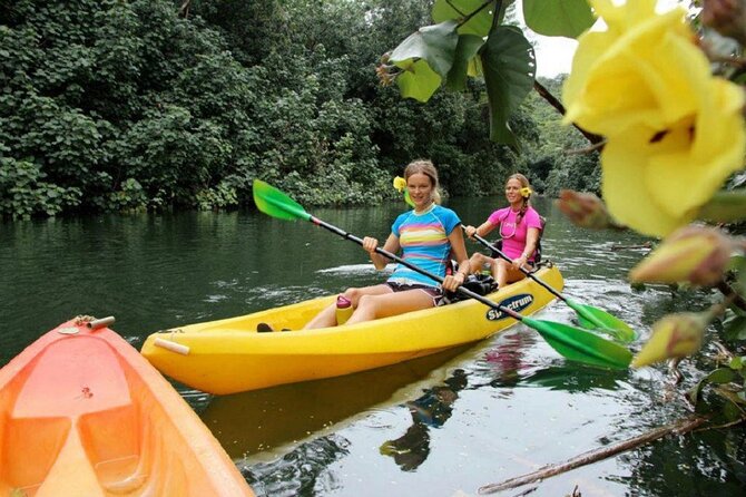 Kauai: Secret Falls Kayak and Hike - Paddling four miles on the Wailua River