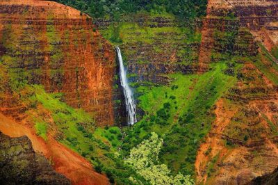 Kauai Waimea Canyon and Koke’e Tour