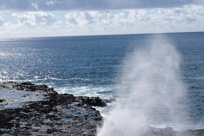 Kauai Waimea Canyon and Koke'e Tour - What the guides add to the experience