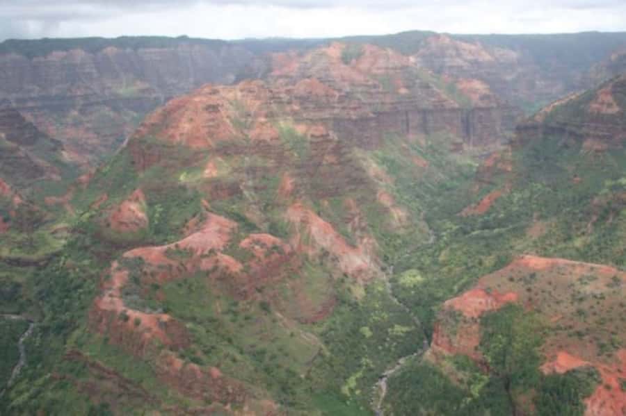 Kauai: Waimea Canyon and Waterfall Adventure Day Tour - Key points to know before booking