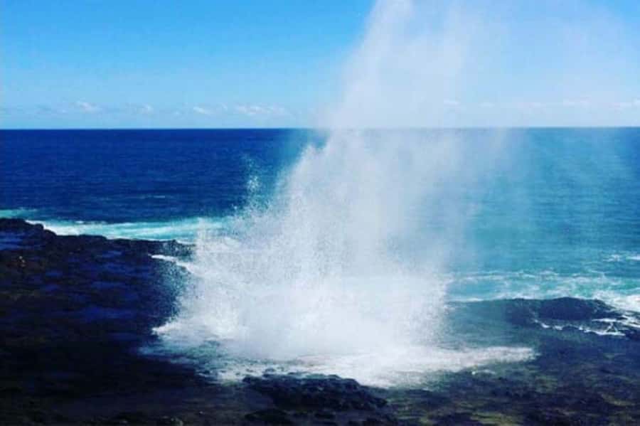 Kauai: Waimea Canyon and Waterfall Adventure Day Tour - Why this seven-hour tour works well