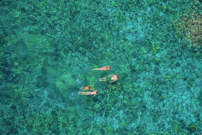 Kealakekua Bay Afternoon Snorkel: Family Fun on the Kona Coast - Is the $143.93 price fair?