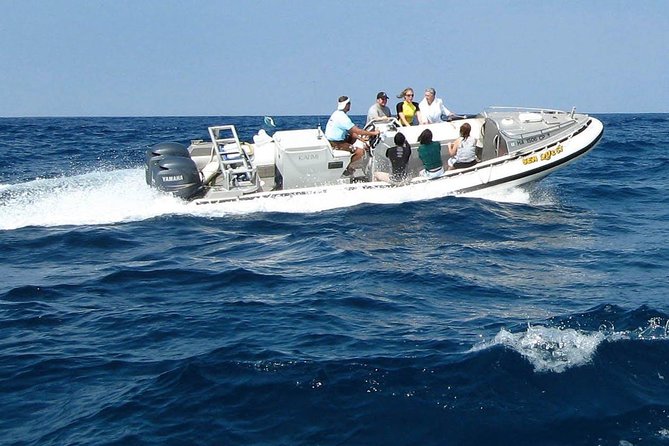 Kealakekua Bay Captain Cook Snorkel Exclusive - Sea caves, lava tubes, and the return route