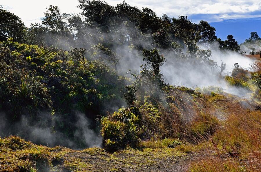 Kilauea: Volcanoes National Park Guided Hike - Should you book the Kilauea guided hike?