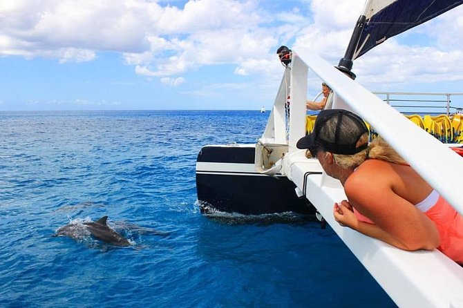 Ko Olina Catamaran Sail and Snorkel with Lunch - The snorkeling stop and what you can see