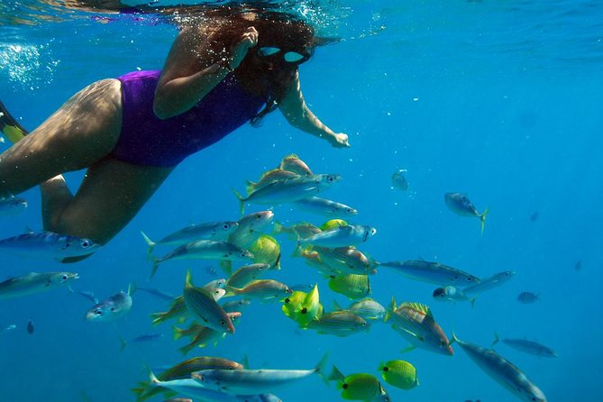 Ko Olina Catamaran Sail and Snorkel with Lunch - Morning or afternoon: choosing the better sailing