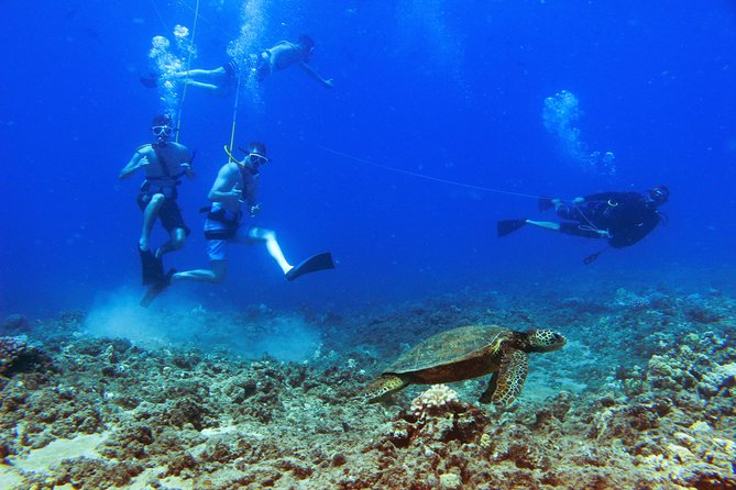 Ko Olina Catamaran Sail and Snorkel with Lunch - Who will like this trip most