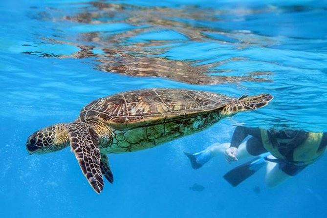 Ko Olina Catamaran Sail and Snorkel with Lunch - Weather, cancellations, and booking timing
