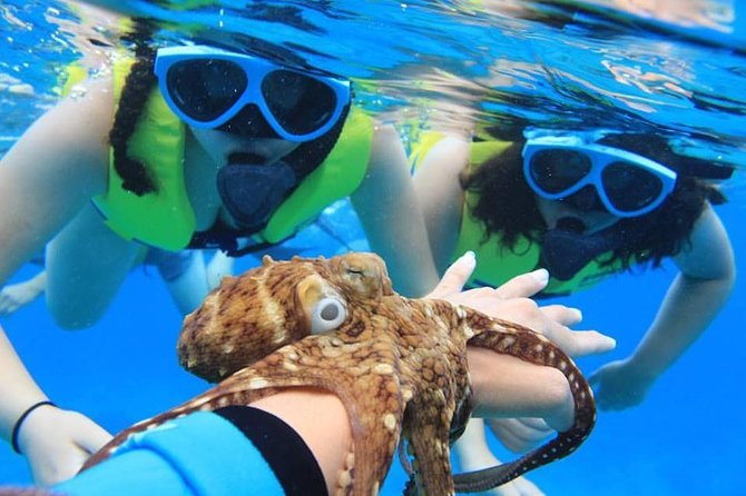 Ko Olina Catamaran Sail and Snorkel with Lunch - What the 53-foot catamaran is like