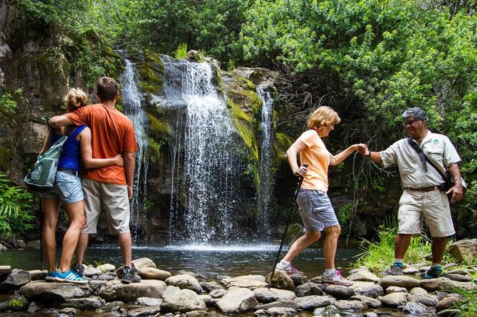 Kohala Waterfalls Small Group Adventure Tour - Several waterfalls, then one cold swim