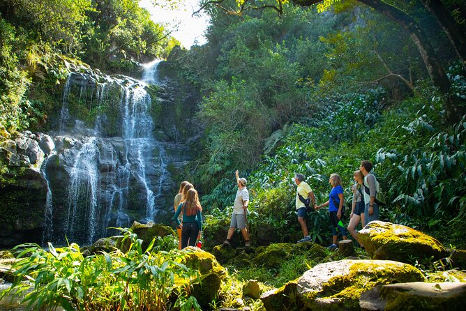 Kohala Waterfalls Small Group Adventure Tour - Walking through private Kohala land