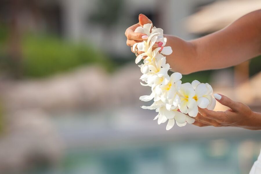 Kona Airport Custom Lei Greeting - Choose Your Lei - What Happens After You Land