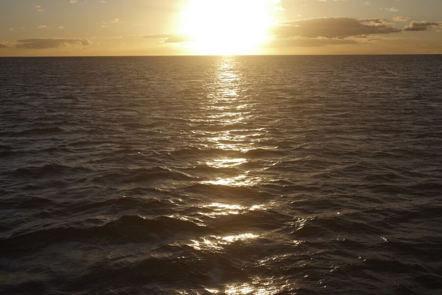Kona: Catamaran Sunset Sail with Cocktails and Snacks - Key points to know before booking