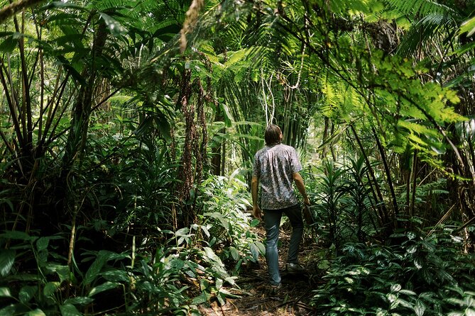 Kona Cloud Forest Sanctuary Montane Jungle Tour (2.5 hrs) - Key points to know before you go