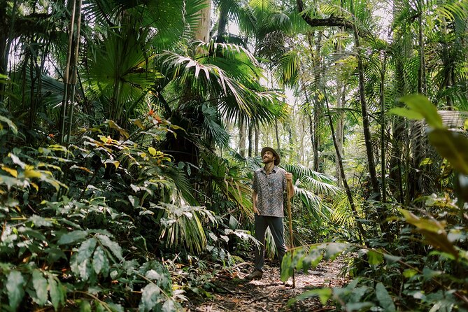 Kona Cloud Forest Sanctuary Montane Jungle Tour (2.5 hrs) - The volcanic story beneath the forest