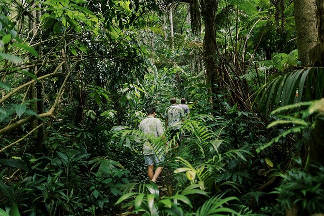 Kona Cloud Forest Sanctuary Montane Jungle Tour (2.5 hrs) - Is $149 a fair price?