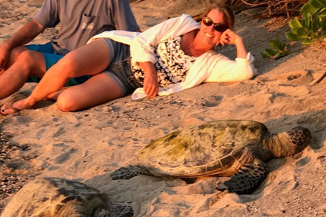 Kona Shore Excursion: Sea Turtles, Historic Kona & Coffee - Kaloko-Honokohau and the old Hawaiian settlement