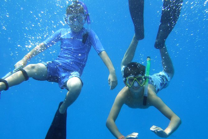 Kona Shore Excursion: Wild Dolphin Reefs Snorkel and Sea Caves - Who should book this Kona shore excursion?