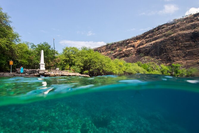 Kona Shore Excursion: Wild Dolphin Reefs Snorkel and Sea Caves - Dolphins, whales, and the new rules for spinner dolphins
