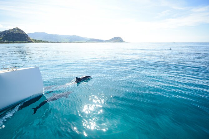 Kona Signature Catamaran Sunset Sail - A sunset sail built around the Kona Coast