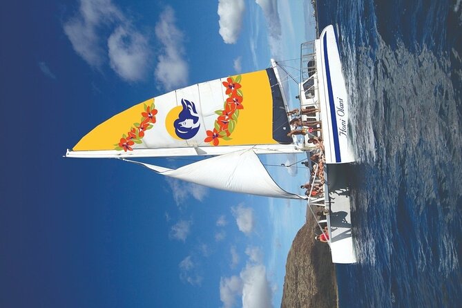 Kona Signature Catamaran Sunset Sail - Dolphins, whales, and the limits of wildlife watching
