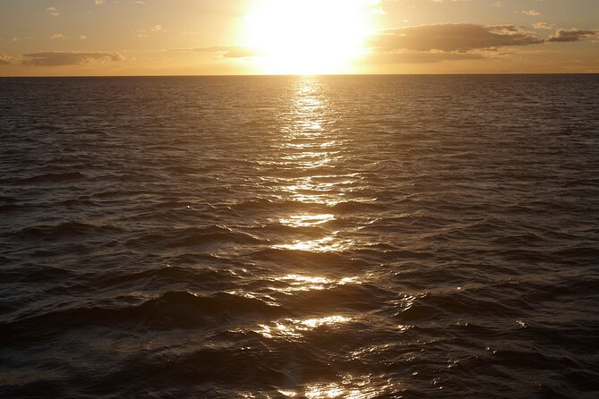 Kona Signature Catamaran Sunset Sail - Drinks, snacks, and the surprise dinner