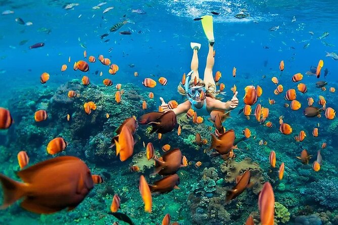 Kona Snorkel Tour: Captain Cook Reef Snorkel, Dolphin & Sea Caves - Boarding the Zodiac at Kailua-Kona