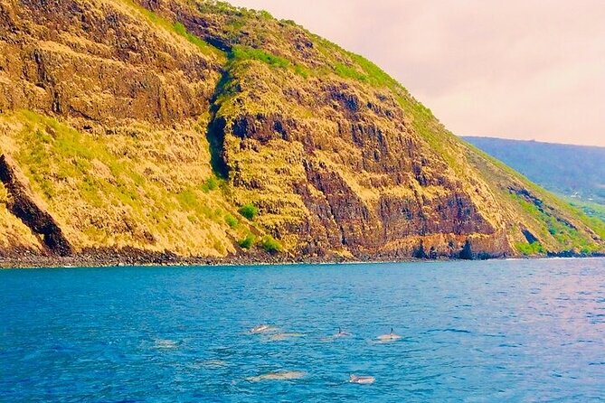 Kona Snorkel Tour: Captain Cook Reef Snorkel, Dolphin & Sea Caves - Timing, weather, and cancellation rules